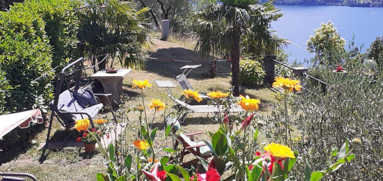 Appartamento Vezio Hill House Perledo Esterno foto